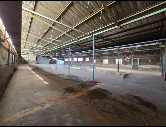 1,148M² WAREHOUSE TO LET IN ANDERBOLT